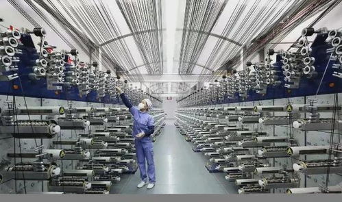 榜上有名！中复神鹰碳纤维荣获2021年江苏省省长质量奖