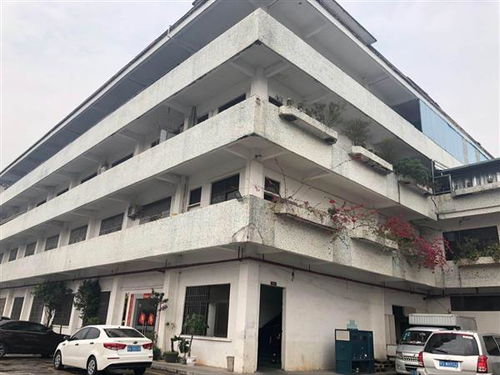 宾阳县钢结构厂房质量验厂安全检测 专业资质公司服务要点与风险提示