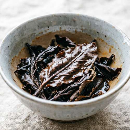 普洱仓储的湿度与时光·工作室存茶指南